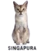 singapura
